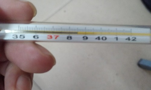 蟑螂治病最佳配方-权威蟑螂食用平台,分享专业蟑螂一般吃什么知识_蟑螂怎样吃法抗癌网